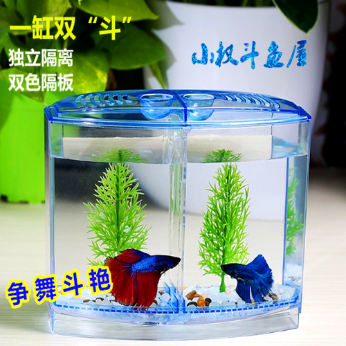 迷你小鱼缸水族箱斗鱼隔离盒创意斗鱼缸办公室桌面小型热带鱼缸