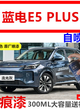 蓝电E5PLUS电车专用自喷漆笔