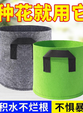美植袋加厚耐用无纺布种植袋绿色灰色植物袋育苗蘑菇种菜种花楼顶