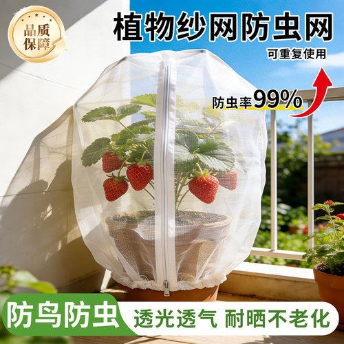 防虫网罩防鸟罩袋果树纱网带拉链蓝莓阳台水果番茄防果蝇防蚊透光