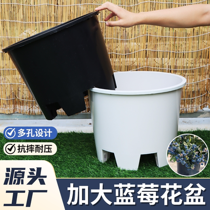 蓝莓专用盆种植盆果树花盆树脂大号呼吸加厚圆形青山控根盆大口径