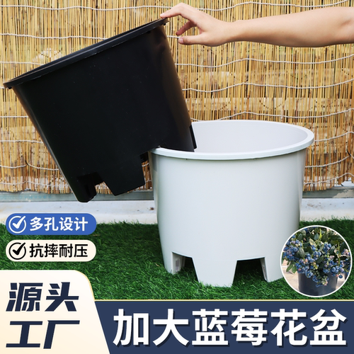 蓝莓专用盆种植盆果树花盆树脂大号呼吸加厚圆形青山控根盆大口径