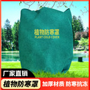 植物防寒保暖罩果树保温布袋植物过冬防风无纺布花卉树木加厚防冻