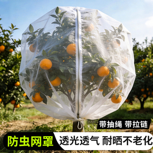 果树防虫网罩网袋莲雾樱桃蓝莓杨梅蔬菜花卉绿植防鸟防鸟防虫网罩
