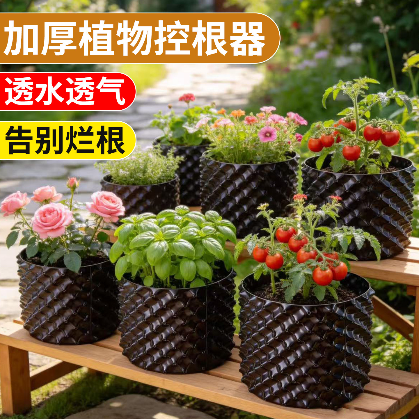 控根器植树专用果树盆栽围树板盆景专用花盆楼顶育苗种菜蓄排水板