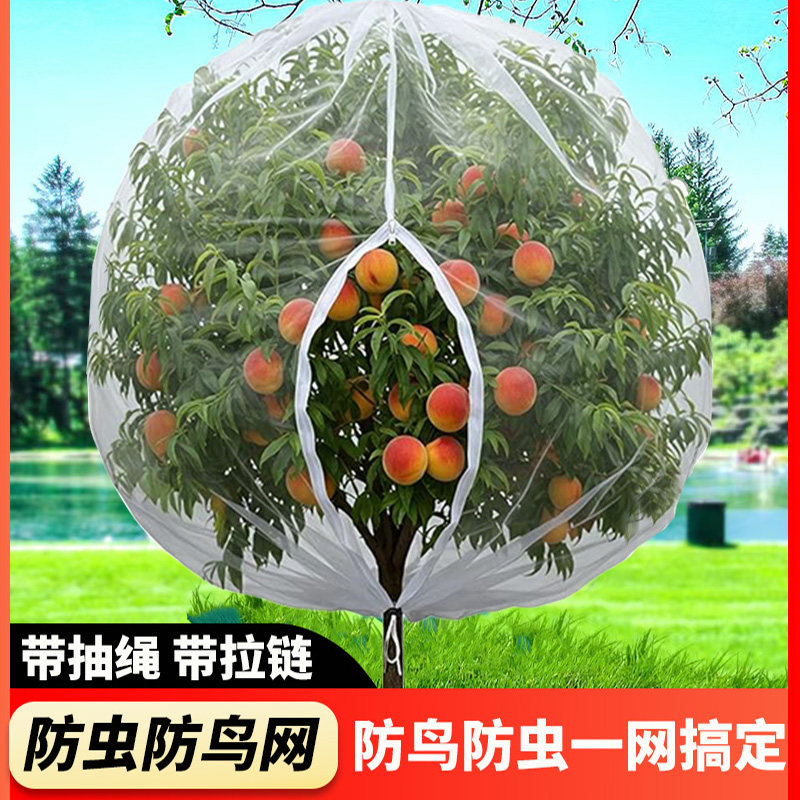 果树防虫网防鸟罩袋带拉链蓝莓杨梅莲雾阳台果番茄防果蝇防蚊透光