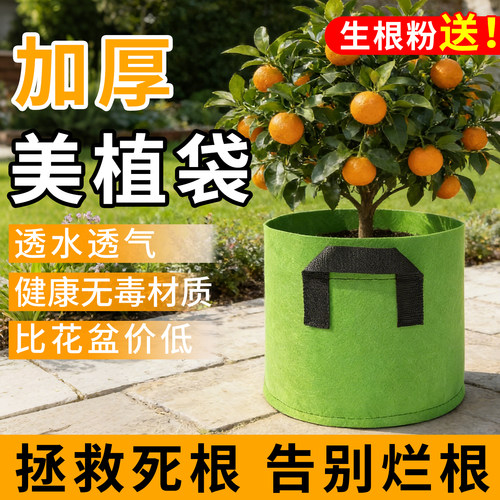 灰绿色种植袋美植袋加厚耐用植树袋果树蘑菇种菜土豆特大阳台楼顶