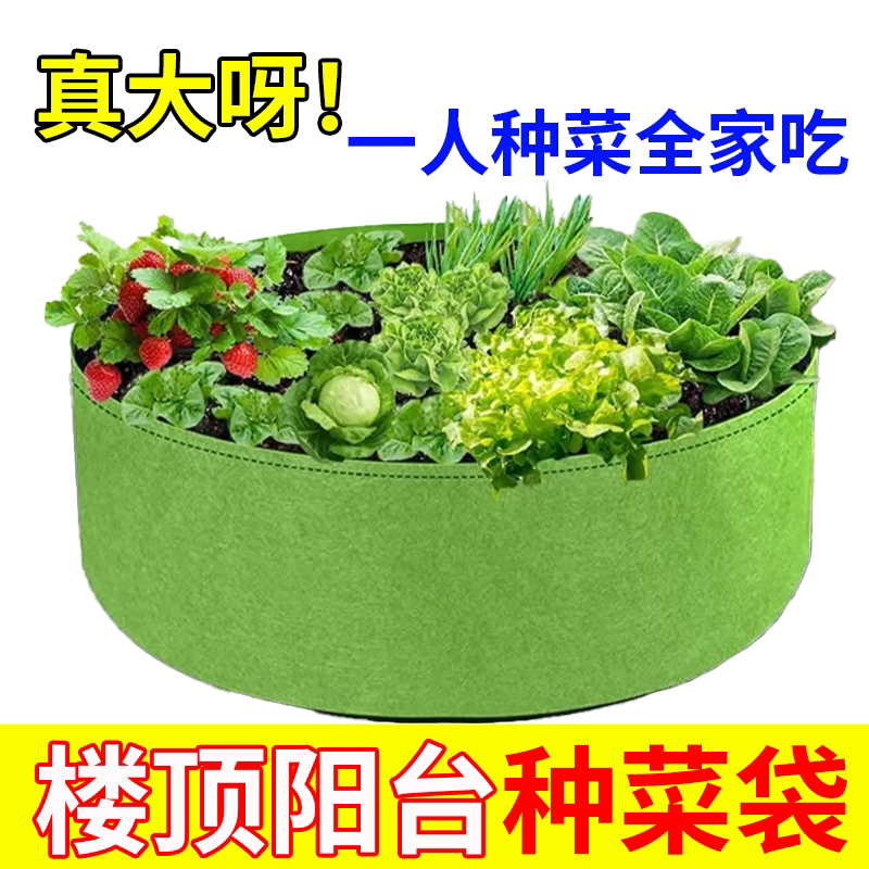 屋顶花园种菜种花特大种植袋图片