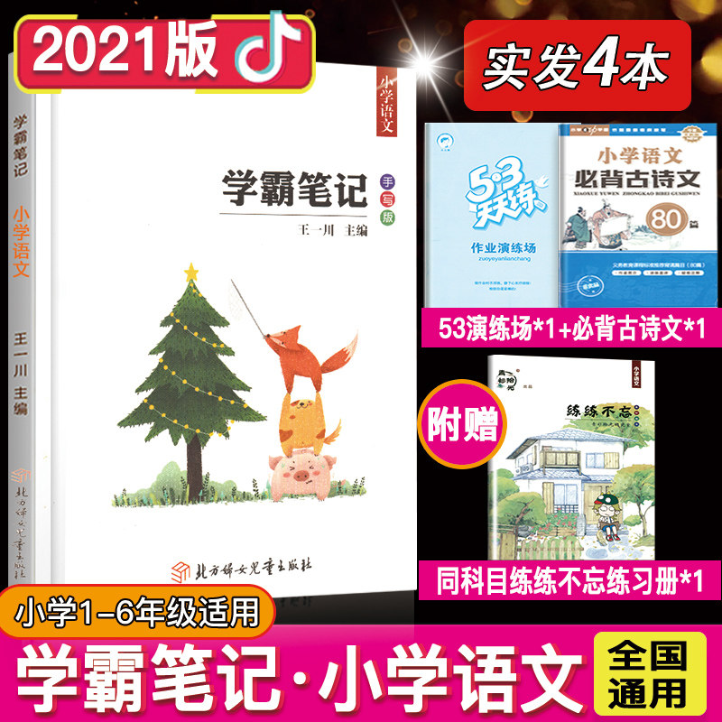 青衫拾光 2021王一川小升初小学学霸笔记语文 提分高分笔记手写手抄