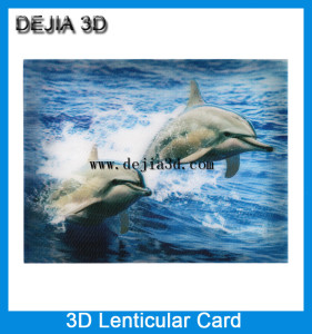 德嘉3D印刷厂家三维变幻卡片海洋动物旅游明信PET光栅片材包邮