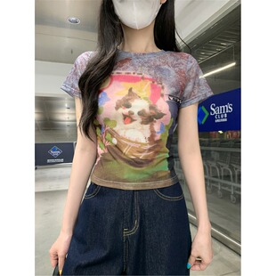 2026新款 T恤女夏季 设计感透气网纱绝美上衣 胖mm复古印花短袖 大码