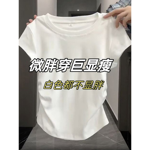 【赠送运费险】小红书博主推荐