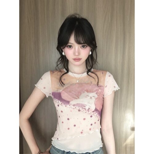 【赠送运费险】小红书博主推荐