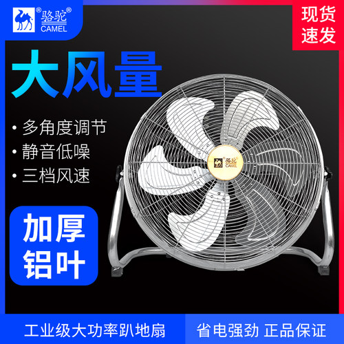 骆驼趴地扇大风力工业扇电风扇