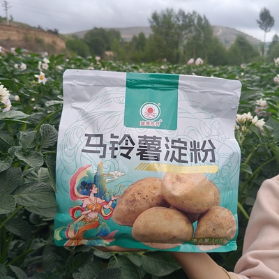 甘肃定西纯土豆淀粉马铃薯生粉
