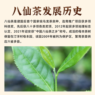 丹诏珍好八仙茶 140g 独立小包装 便携伴手礼茶叶年货送礼