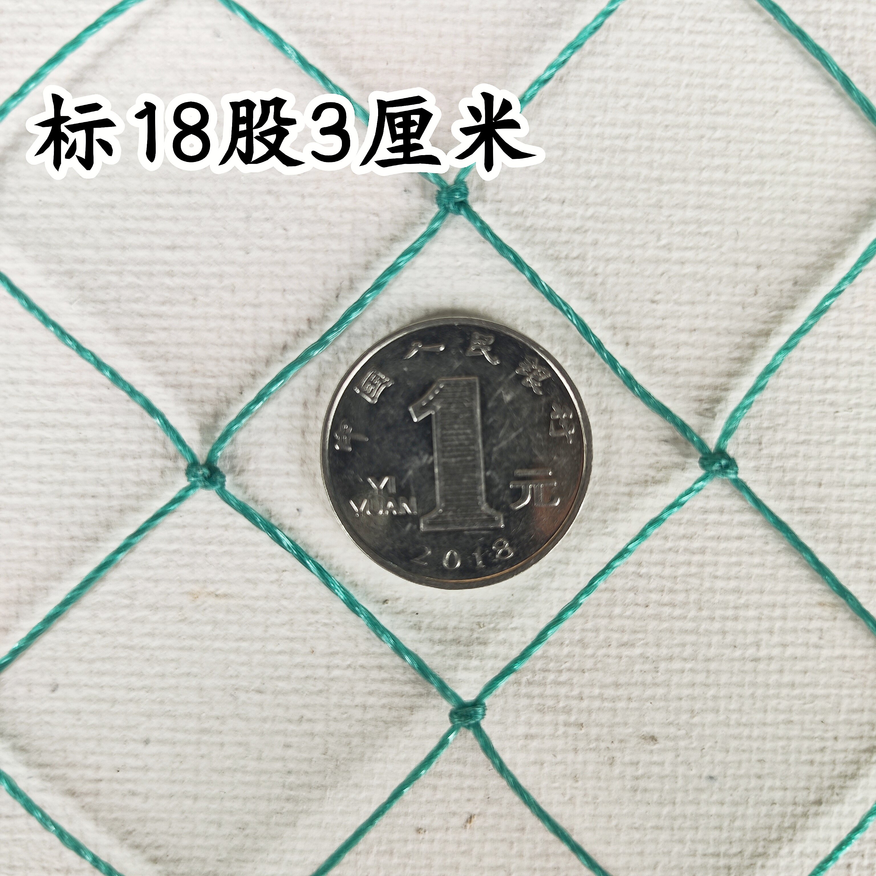18股3厘米网眼养殖网养鸡网天网顶网栏鸡网围栏网养鸡栏网户外网