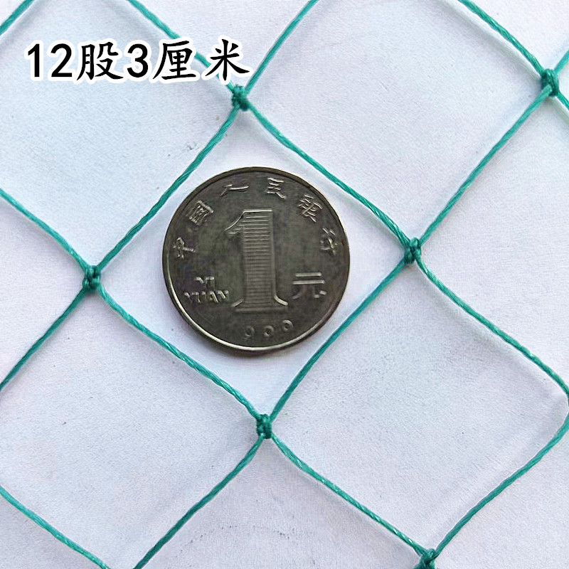 12股3厘米网眼养殖网养鸡网天网顶网栏鸡网围栏网养鸡栏网户外网