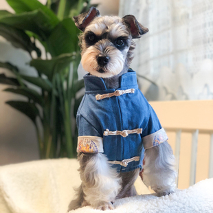 狗狗衣服小型犬春款猫咪衣服可爱狗狗新年衣服喜庆中国风泰迪衣服