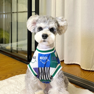 透气网眼雪纳瑞泰迪博美可爱防掉毛衣服夏 狗狗衣服小型犬夏季 薄款