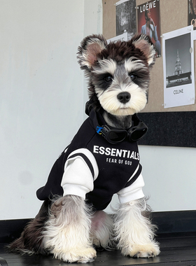 小狗衣服雪纳瑞泰迪博美秋冬加厚加绒假两件冬装宠物保暖幼犬服装