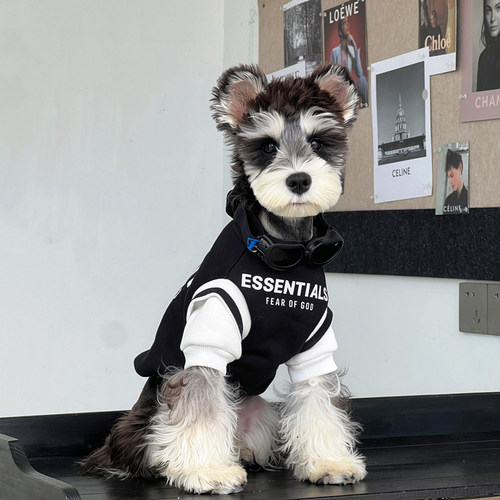 小狗衣服雪纳瑞泰迪博美秋冬加厚加绒假两件冬装宠物保暖幼犬服装