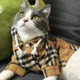 Tide, толстовка с капюшоном, рубашка, легкая и тонкая куртка