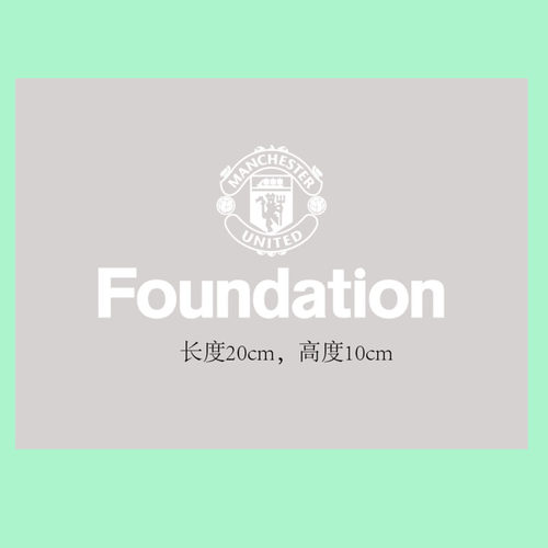 2627曼联欧冠赞助热转印胶印烫画印字