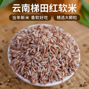 云南梯田红米红香米红软米哈尼胭脂米大米2斤农家新米杂粮粥米