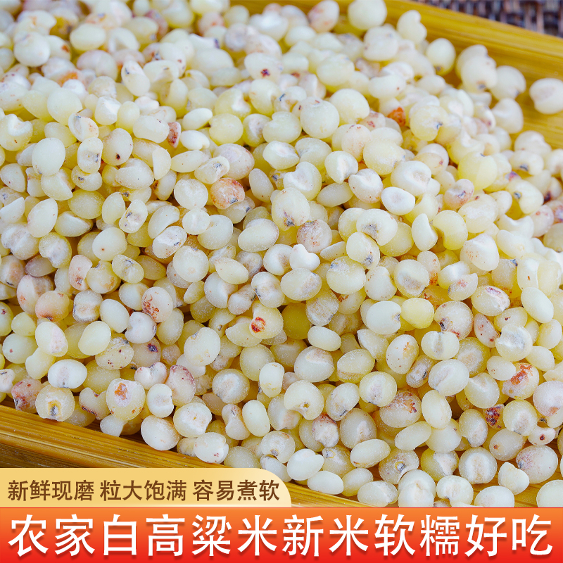 五谷杂粮高粱米当季新高粱米饭新米农家自产粗粮熬粥代餐杂粮米