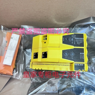 贝加莱 模块X20 SL 8110+X20 IF 10E3-1+X20MK2001.000.004询价