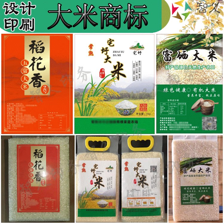水稻种植技术革新推动现代农业发展