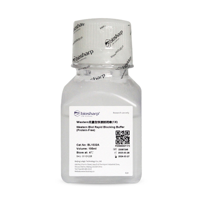 Western无蛋白快速封闭液BL1032A