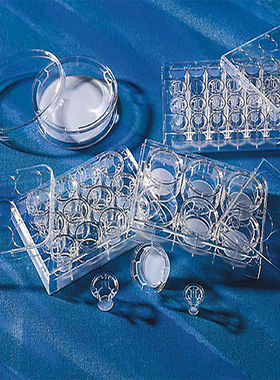 Corning/康宁  3415  Transwell嵌套(带聚碳酸脂膜6.5mm 3.0um)