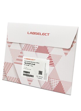 LABSELECT  TM-PVDF-S-22/TM-PVDF-S-45  PVDF转印膜  10cmx15cm