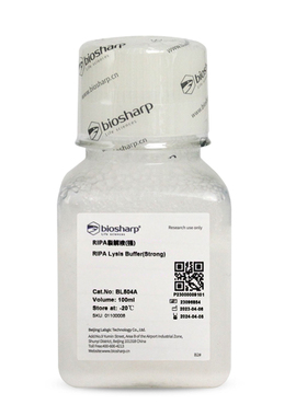 Biosharp  BL504A  RIPA裂解液(强)   100ml
