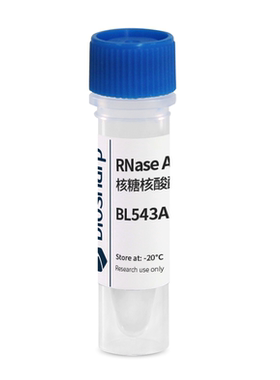 Biosharp BL543A  RNase A溶液（核糖核酸酶 A,10mg/ml）1ml