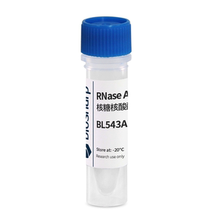 Biosharp BL543A  RNase A溶液（核糖核酸酶 A,10mg/ml）1ml