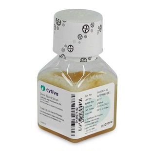100ml Cytiva 500ml SH30074.03 SH30074.02 HyClone 马血清
