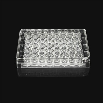 48孔细胞培养板11410LABSELECT