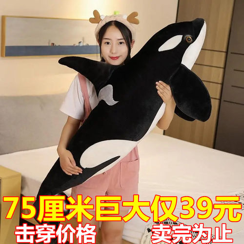 迷糊熊公仔抱枕PP棉可爱