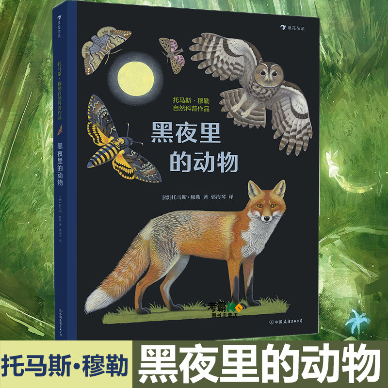 黑夜里的动物 自然科普画册底板书超大开本 融入黑夜 认识近100种神秘