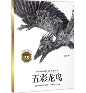 五彩龙鸟 动物小说大王沈石溪 周年纪念书系 正版现货包邮 三四五六年级小学生课外阅读动物系列小说