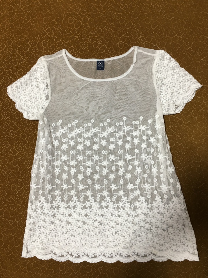 外贸原单 白色超仙蕾丝绣花短袖T恤罩衫精致透视小性感