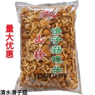 食用菌 野山菌 滑子菇 腌渍蘑菇 清水蘑菇2000克包邮