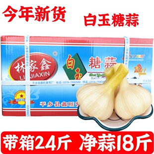 包邮 白玉糖蒜 毛重16斤羊肉泡馍馆火锅饭店专用白糖蒜 酸甜脆口