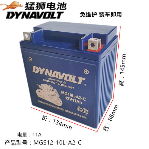猛狮摩托车电瓶12V10L-A2 望江GN250三轮 雅马哈XV250力帆V16电池