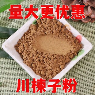 川楝子粉中药材川练子楝枣子苦楝子楝子粉金铃子500克包邮