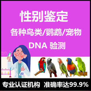 鸟类DNA鉴定公母验卡玄凤牡丹鹦鹉性别检测柯尔鸭鸽子性别检验
