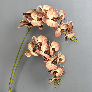 古典大枝9头硅胶棉3d打印蝴蝶兰 仿真花假花婚庆摄影家居装饰花卉